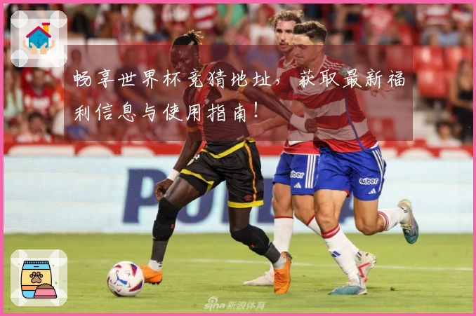 畅享世界杯竞猜地址，获取最新福利信息与使用指南！