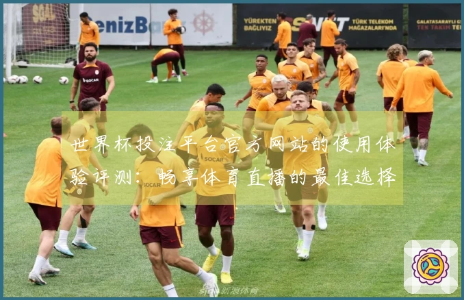 世界杯投注平台官方网站的使用体验评测：畅享体育直播的最佳选择
