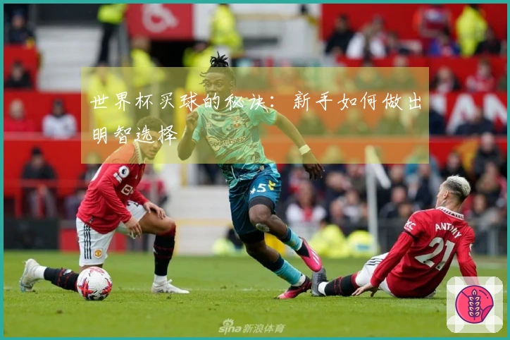 世界杯买球的秘诀：新手如何做出明智选择