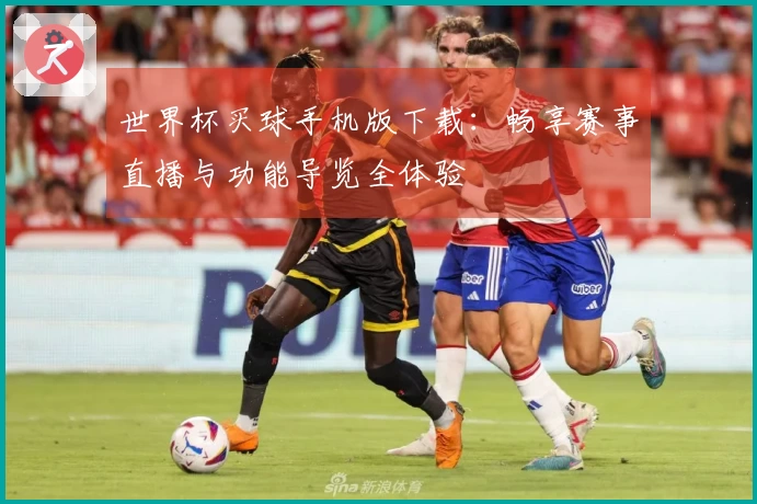 世界杯买球手机版下载：畅享赛事直播与功能导览全体验