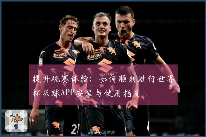 提升观赛体验：如何顺利进行世界杯买球APP安装与使用指南