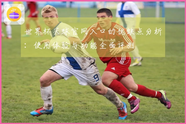 世界杯买球官网入口的优缺点分析：使用体验与功能全面评测