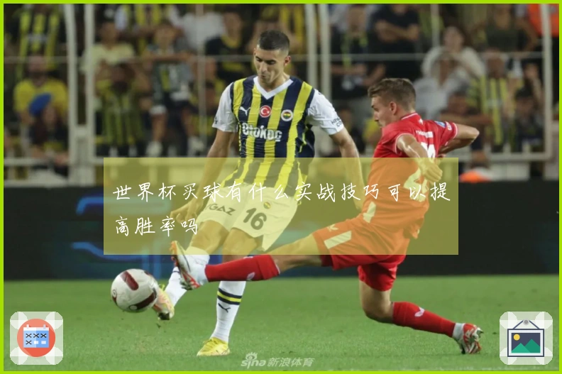 世界杯买球有什么实战技巧可以提高胜率吗