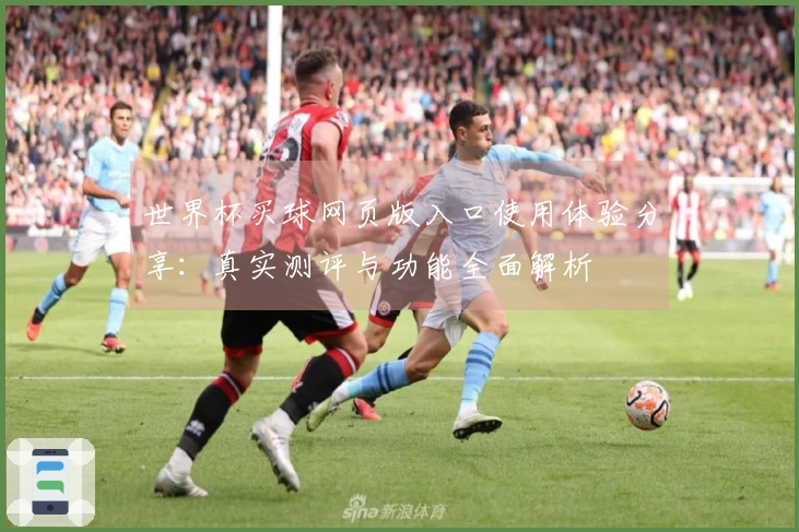 世界杯买球网页版入口使用体验分享：真实测评与功能全面解析