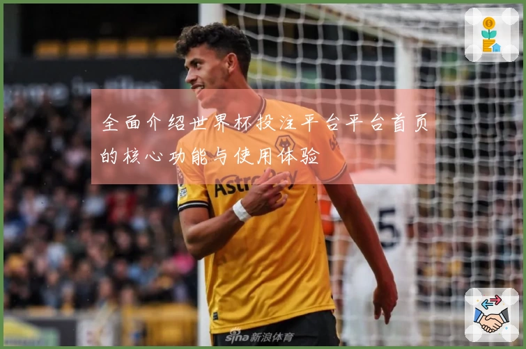 全面介绍世界杯投注平台平台首页的核心功能与使用体验