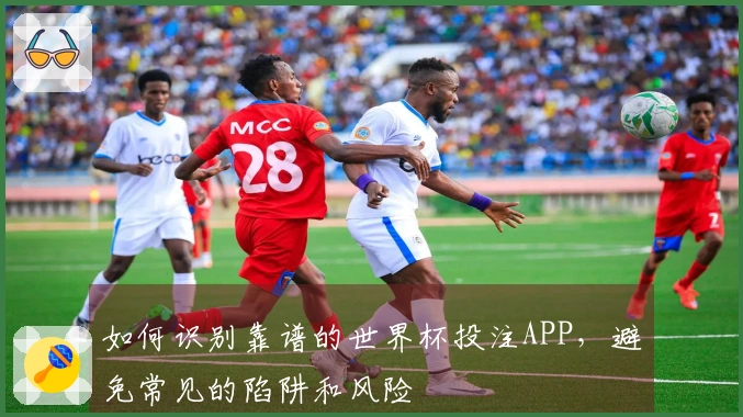 如何识别靠谱的世界杯投注APP，避免常见的陷阱和风险