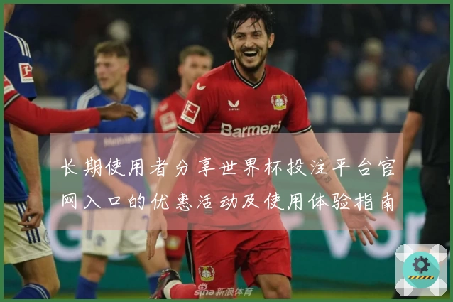 长期使用者分享世界杯投注平台官网入口的优惠活动及使用体验指南