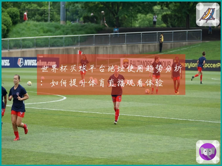 世界杯买球平台地址使用趋势分析：如何提升体育直播观看体验
